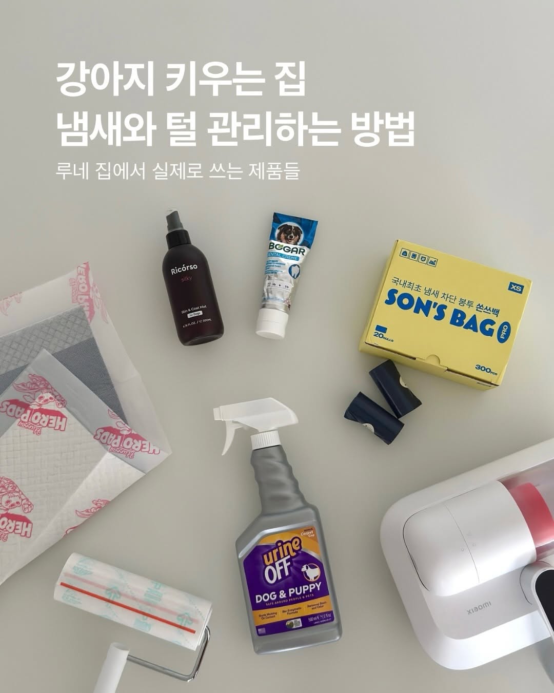 @lalalu__lu이 올린 HURRAY 허레이 태그 게시물