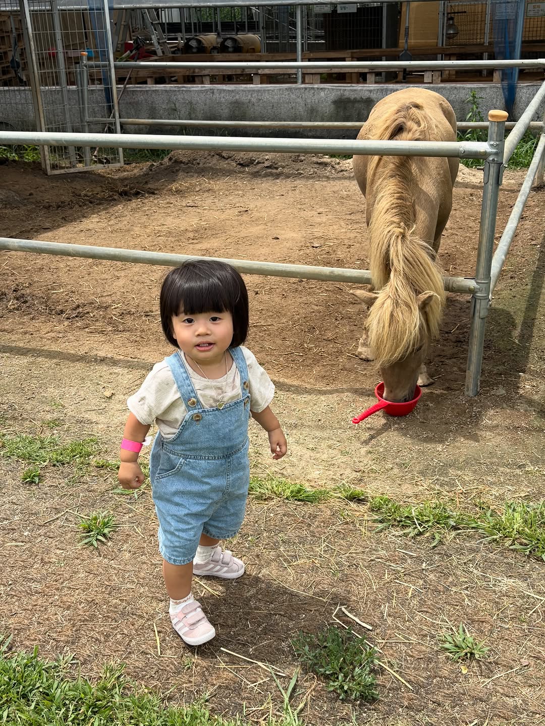 @lovethismomentwithyou이 올린 포레스트벨 태그 게시물