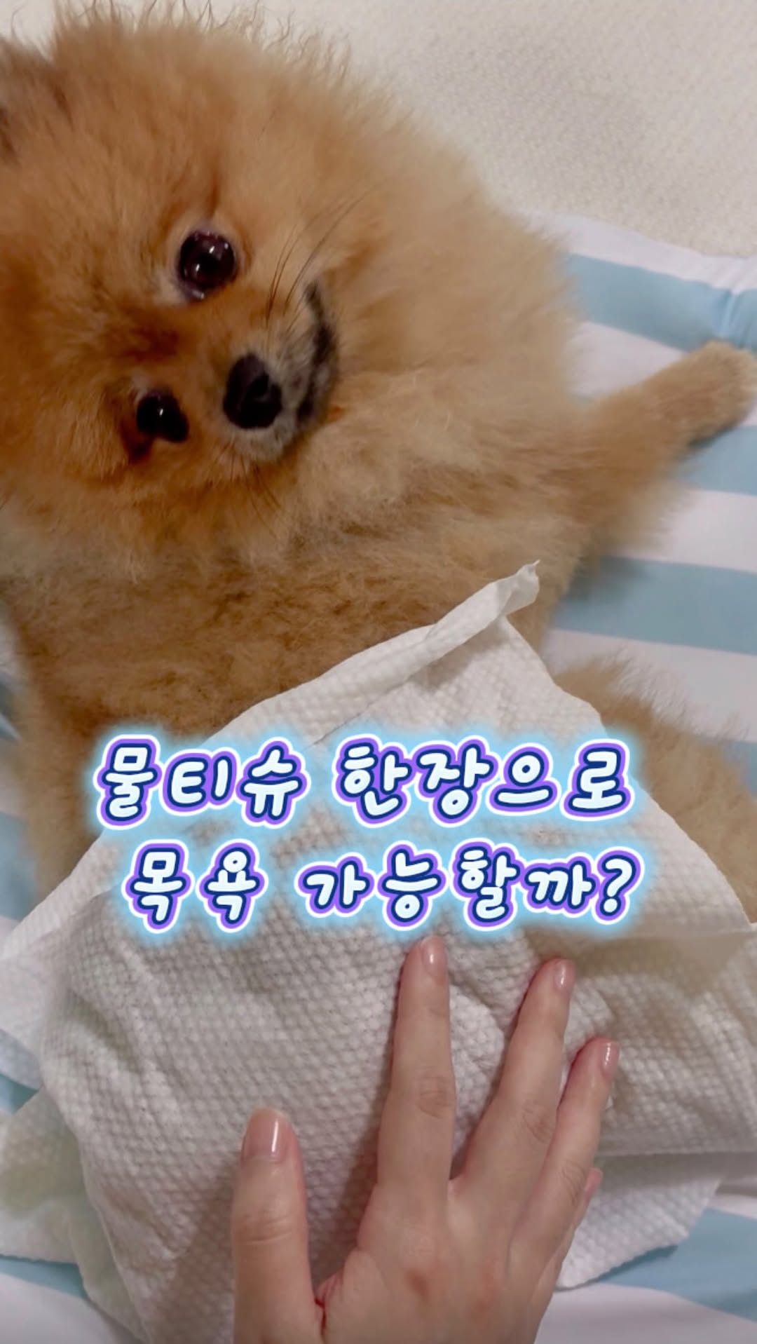 @bbottetto.chip이 올린 HURRAY 허레이 태그 게시물