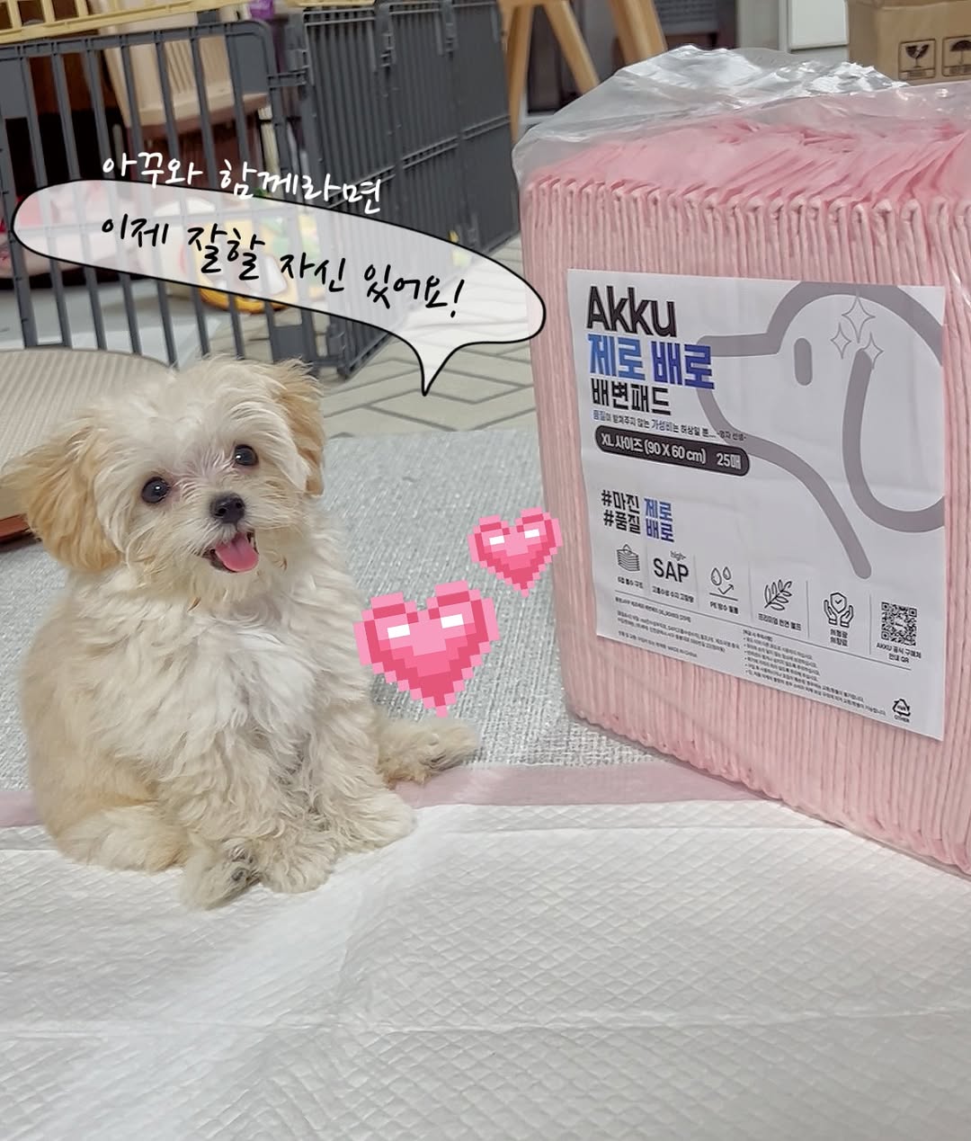 @o.ottreo이 올린 아꾸 태그 게시물