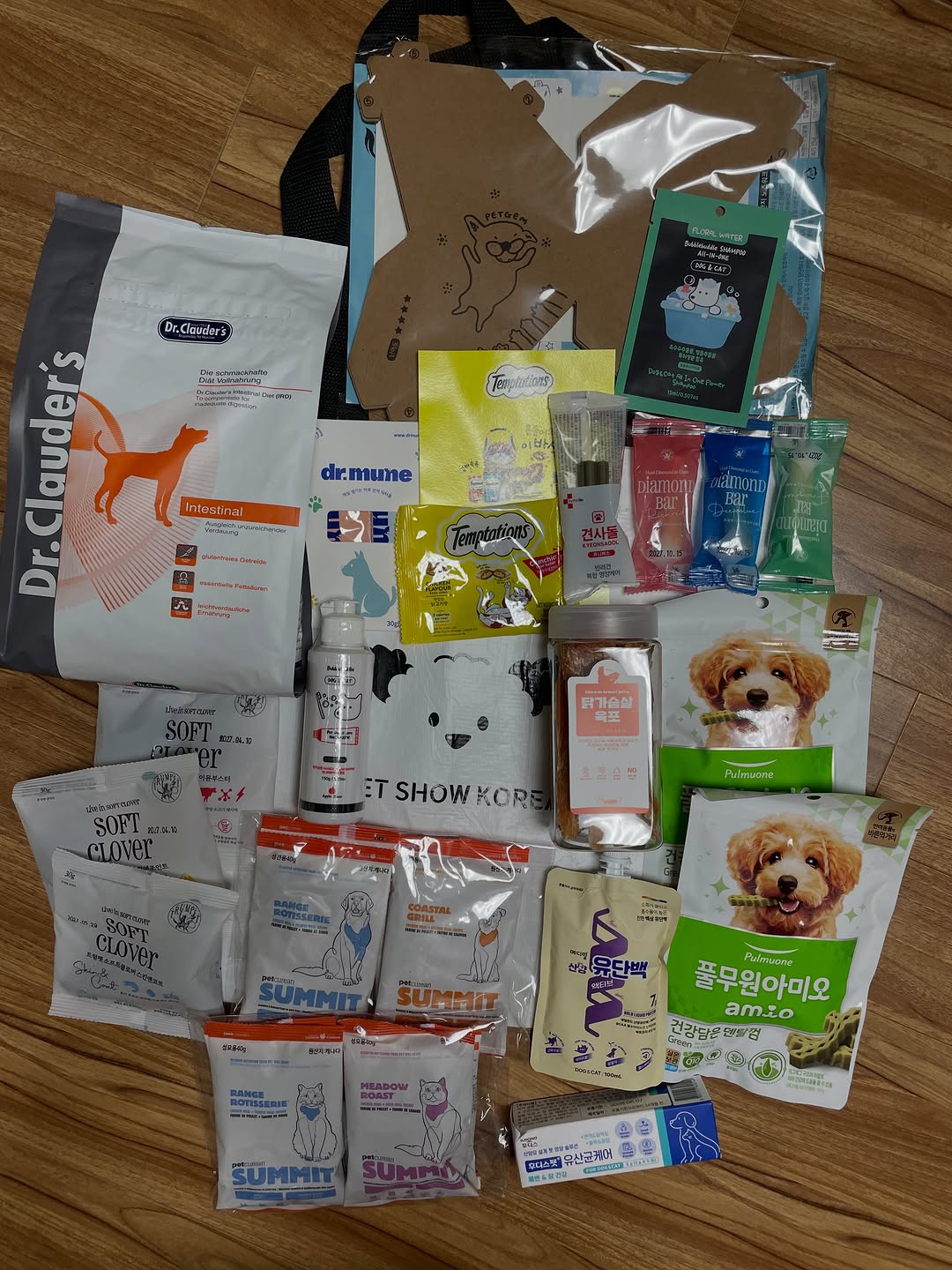 @coe.seonghyeong이 올린 후디스펫 태그 게시물