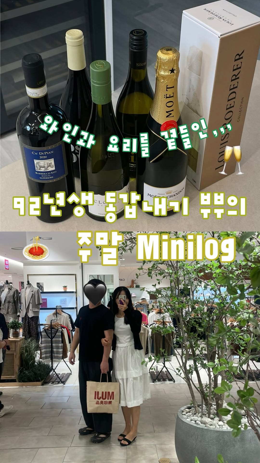 @__92.zip이 올린 휘슬러코리아 태그 게시물
