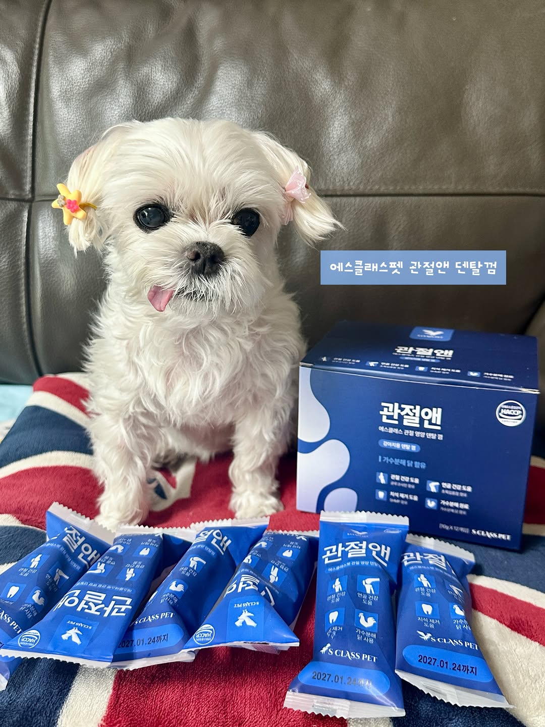 @captain_star1124이 올린 에스클래스펫 태그 게시물