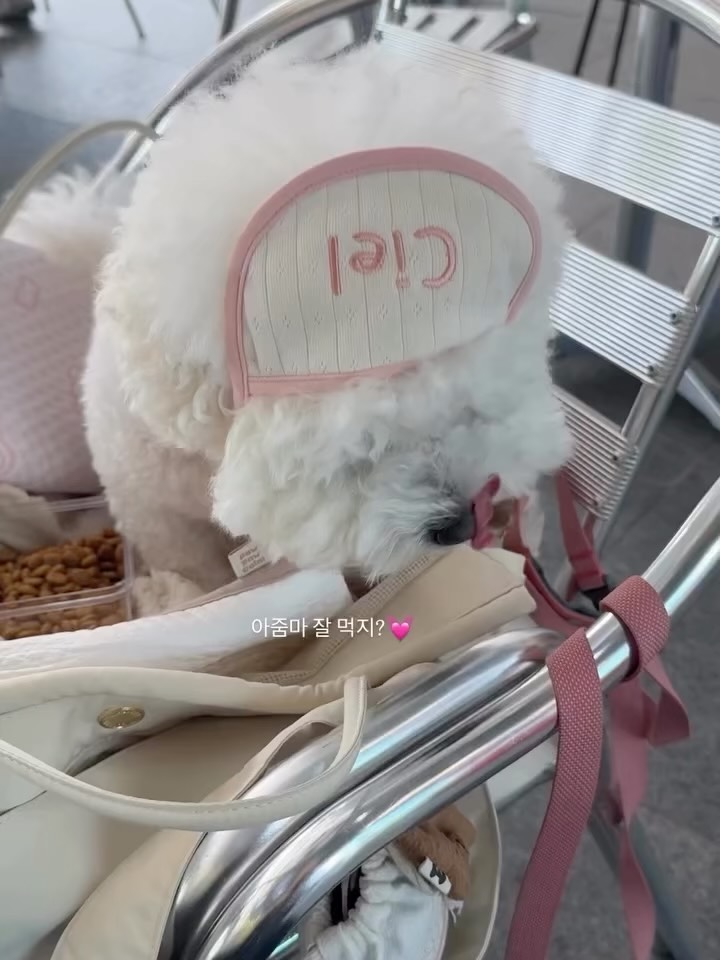 @hi_cielsister이 올린 포포캄 태그 게시물