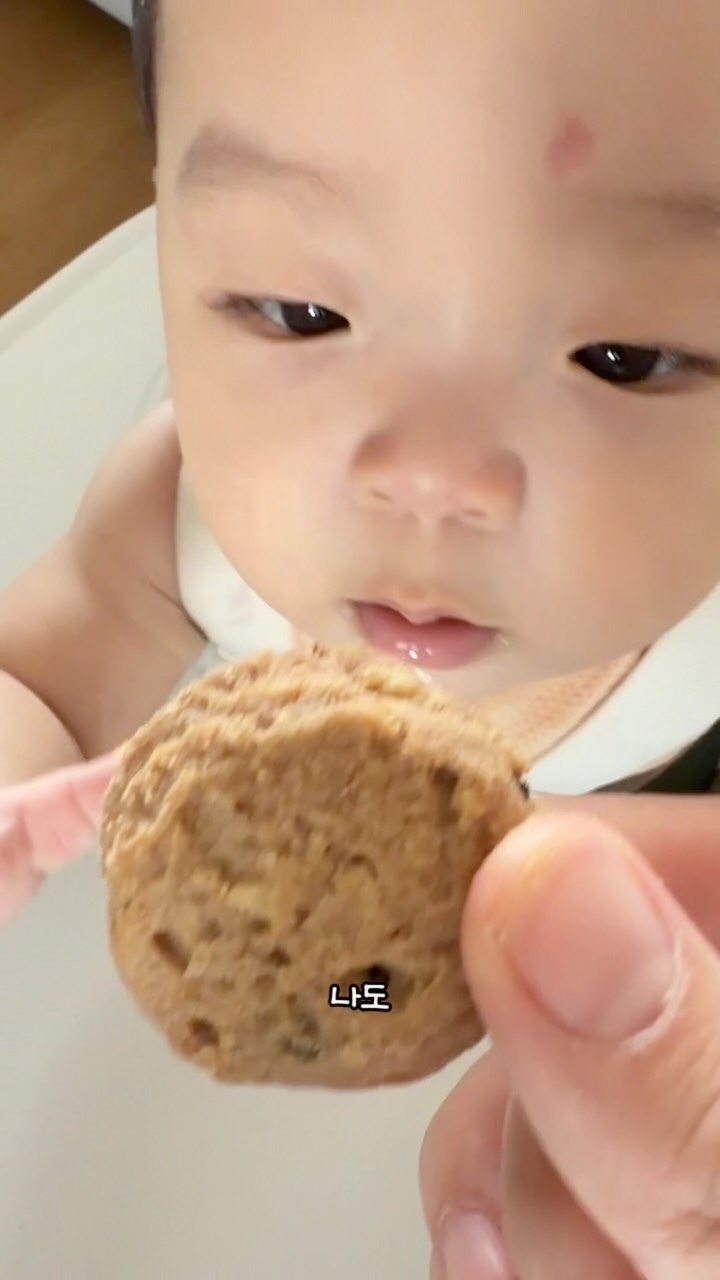 @kinggodfamily이 올린 메르베르 태그 게시물