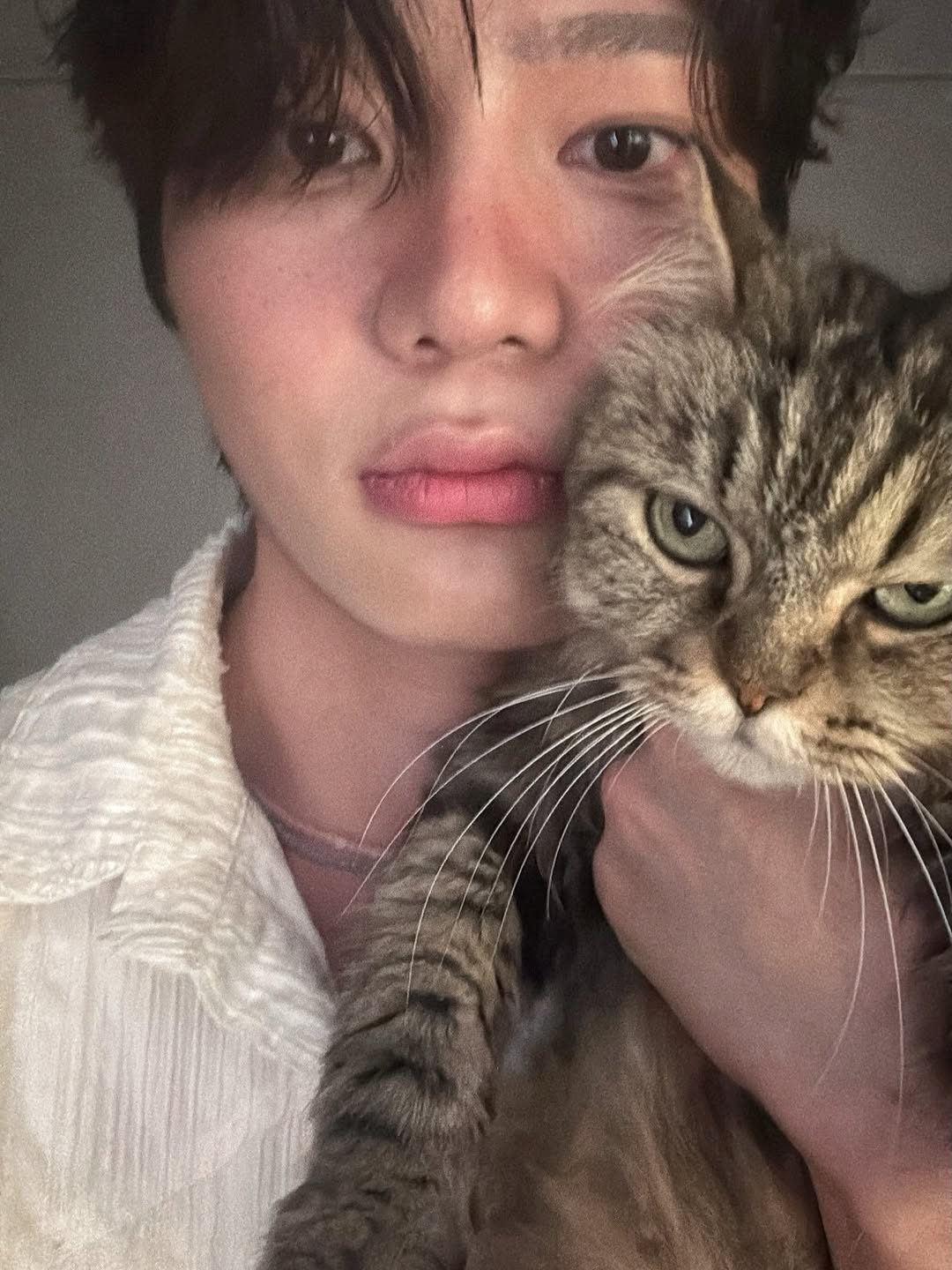 @macdolee이 올린 우드버리 태그 게시물
