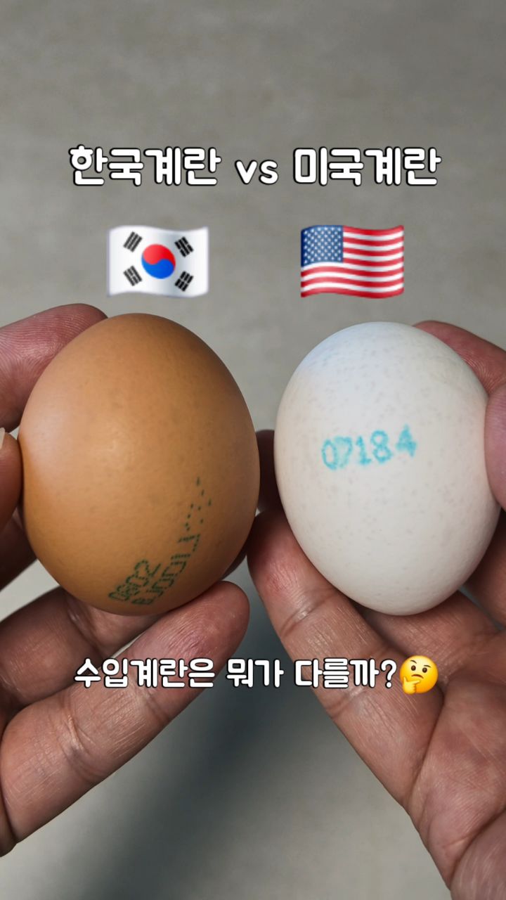@4sondaddy이 올린 롯데마트 제타 태그 게시물