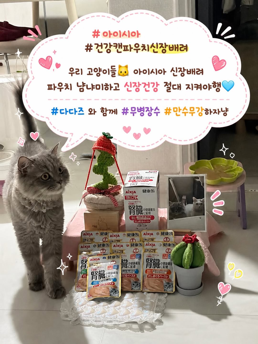 @happy_daon_ru.07이 올린 아이시아 코리아 태그 게시물