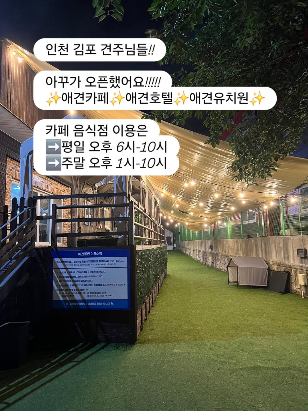 @_ex_house이 올린 아꾸 태그 게시물