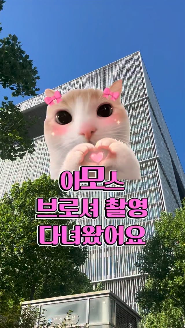 @salon_de_rin이 올린 아모스 프로페셔널 태그 게시물
