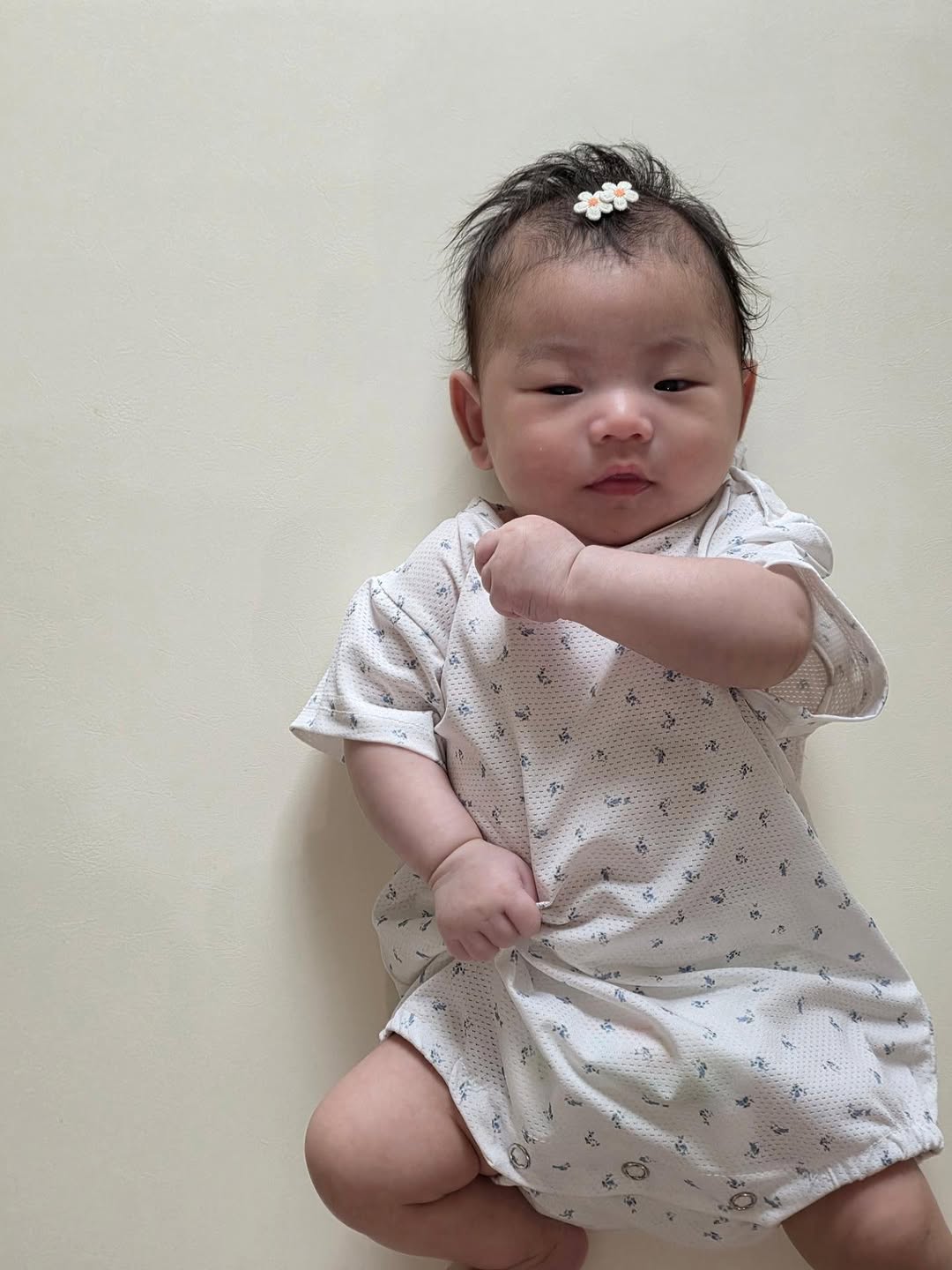 @konny.kim이 올린 베베르망 태그 게시물