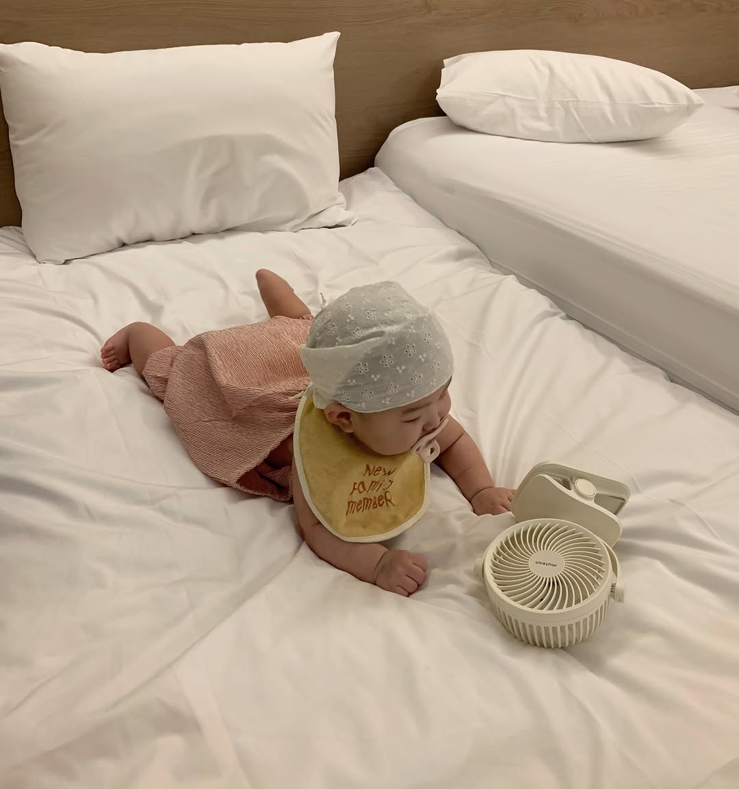 @tre.e__이 올린 아이엔젤 힙시트 아기띠 태그 게시물
