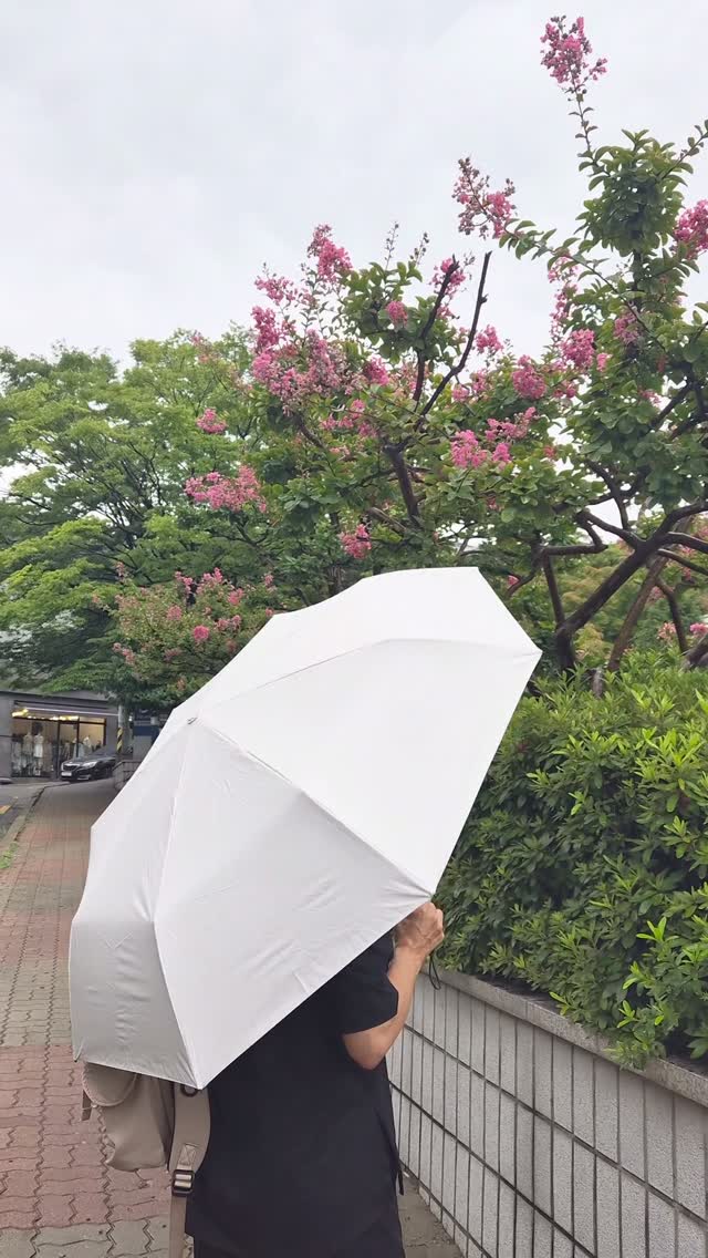 @smy2166이 올린 N트래블 태그 게시물