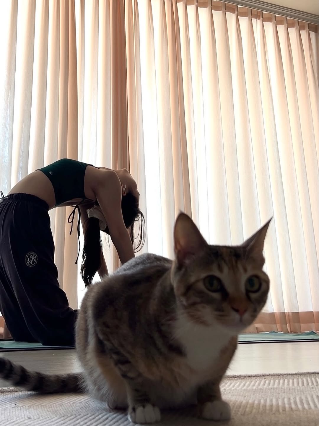 @yogahxni이 올린 미하에스틸로 태그 게시물