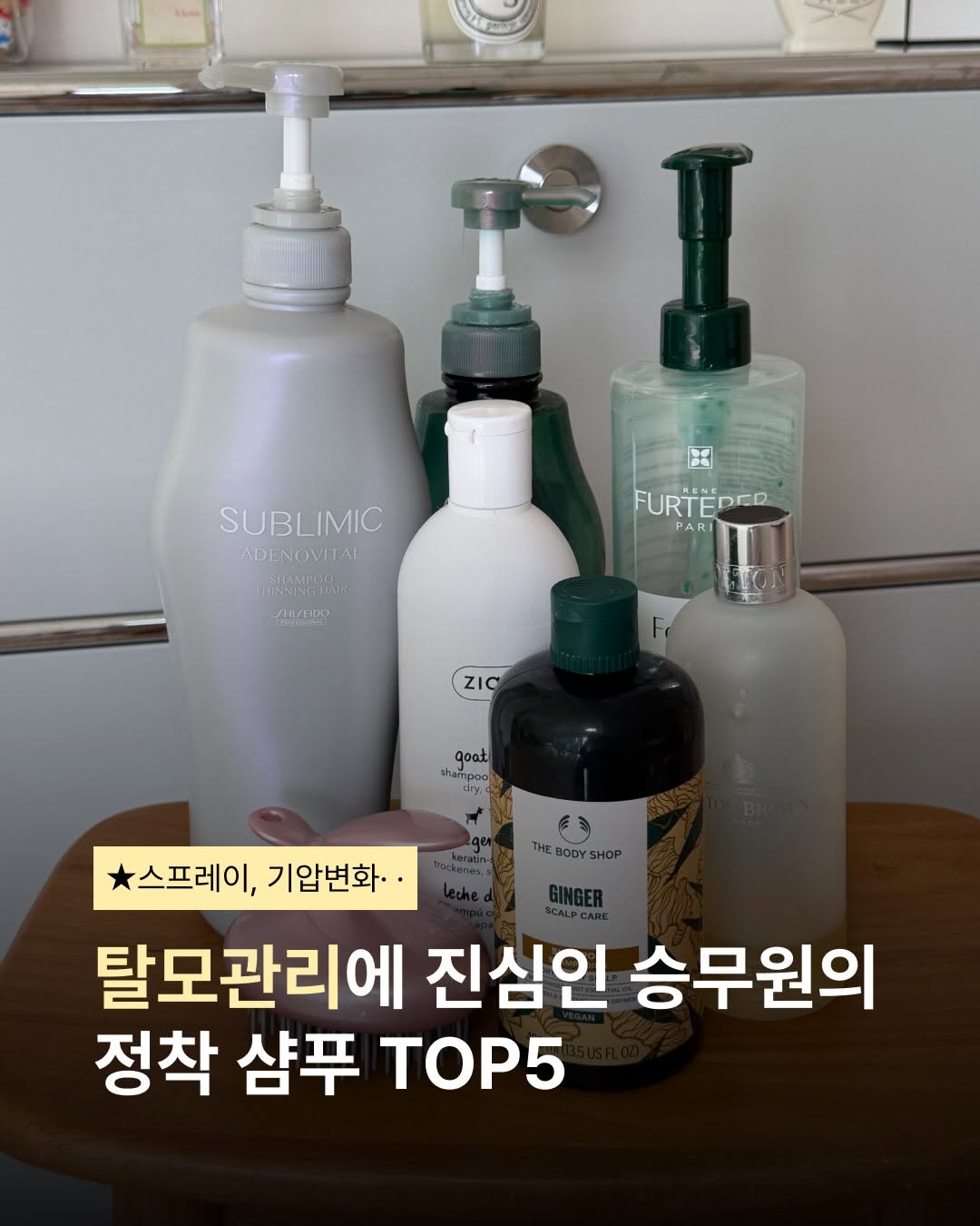 @zianyoon이 올린 더바디샵 태그 게시물