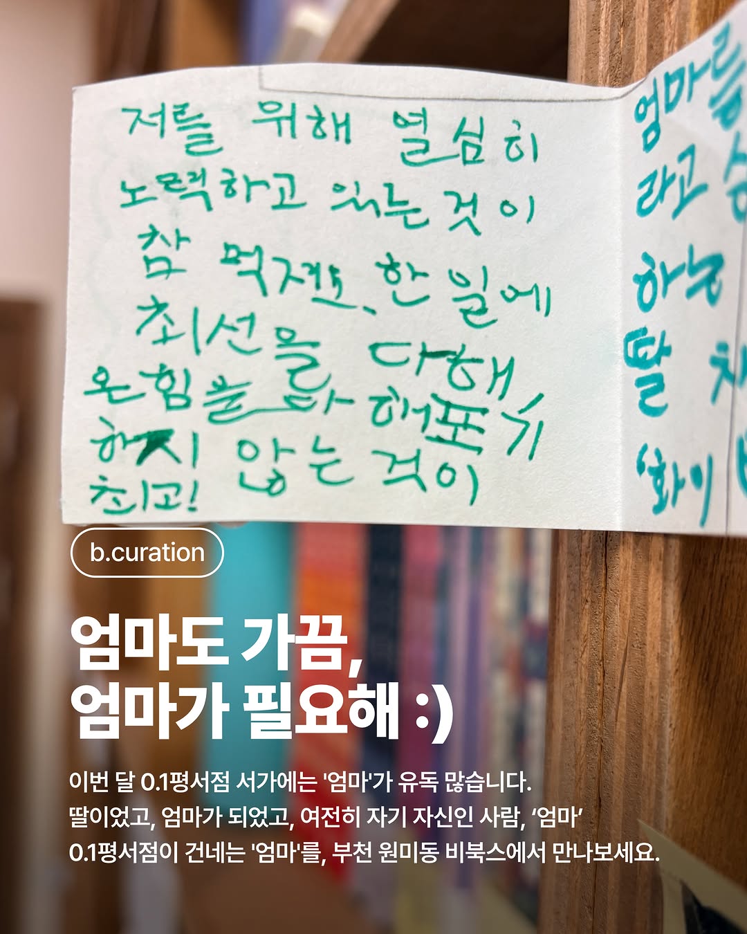 @b_books2026이 올린 작은코도마뱀 태그 게시물