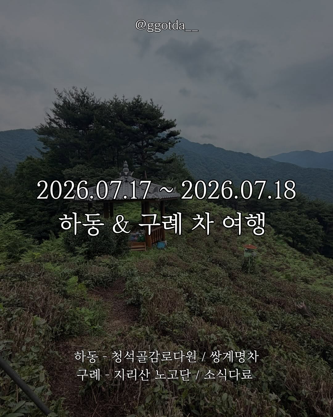 @ggotda__이 올린 쌍계명차 태그 게시물