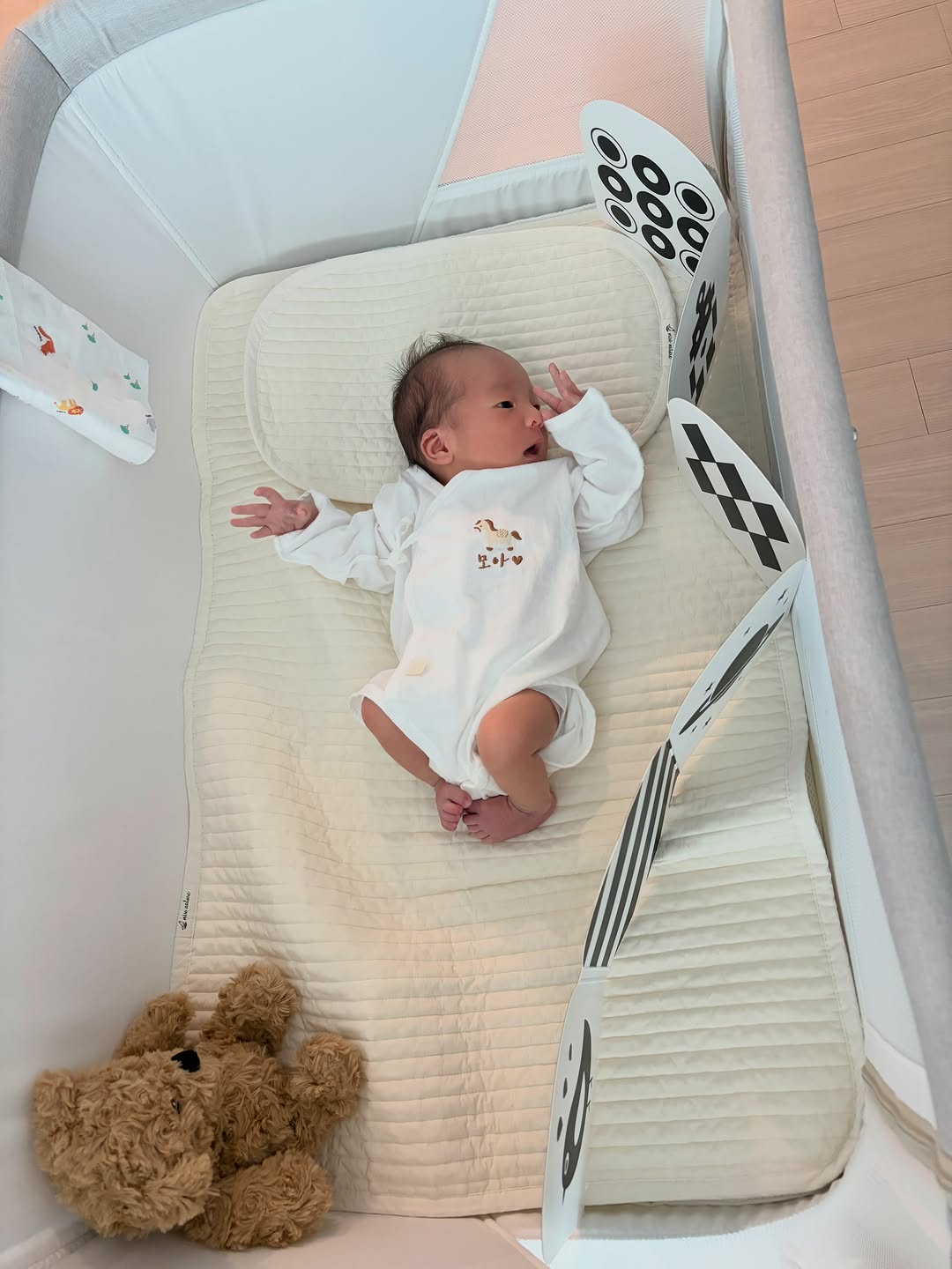 @welcome.moa이 올린 워미스 태그 게시물