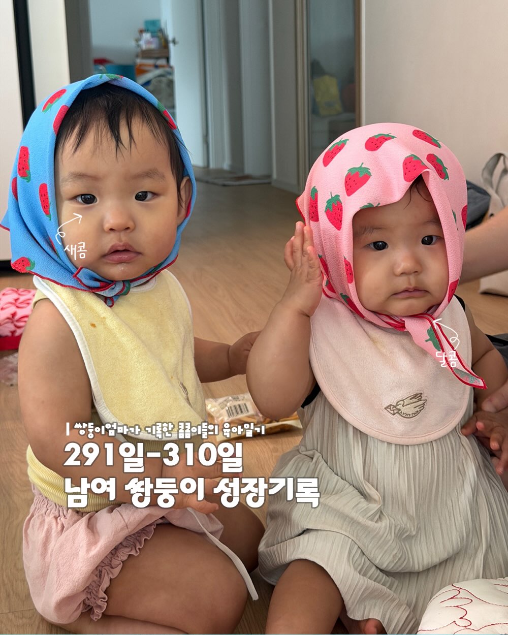 @2kom.kom이 올린 원더폴드 태그 게시물