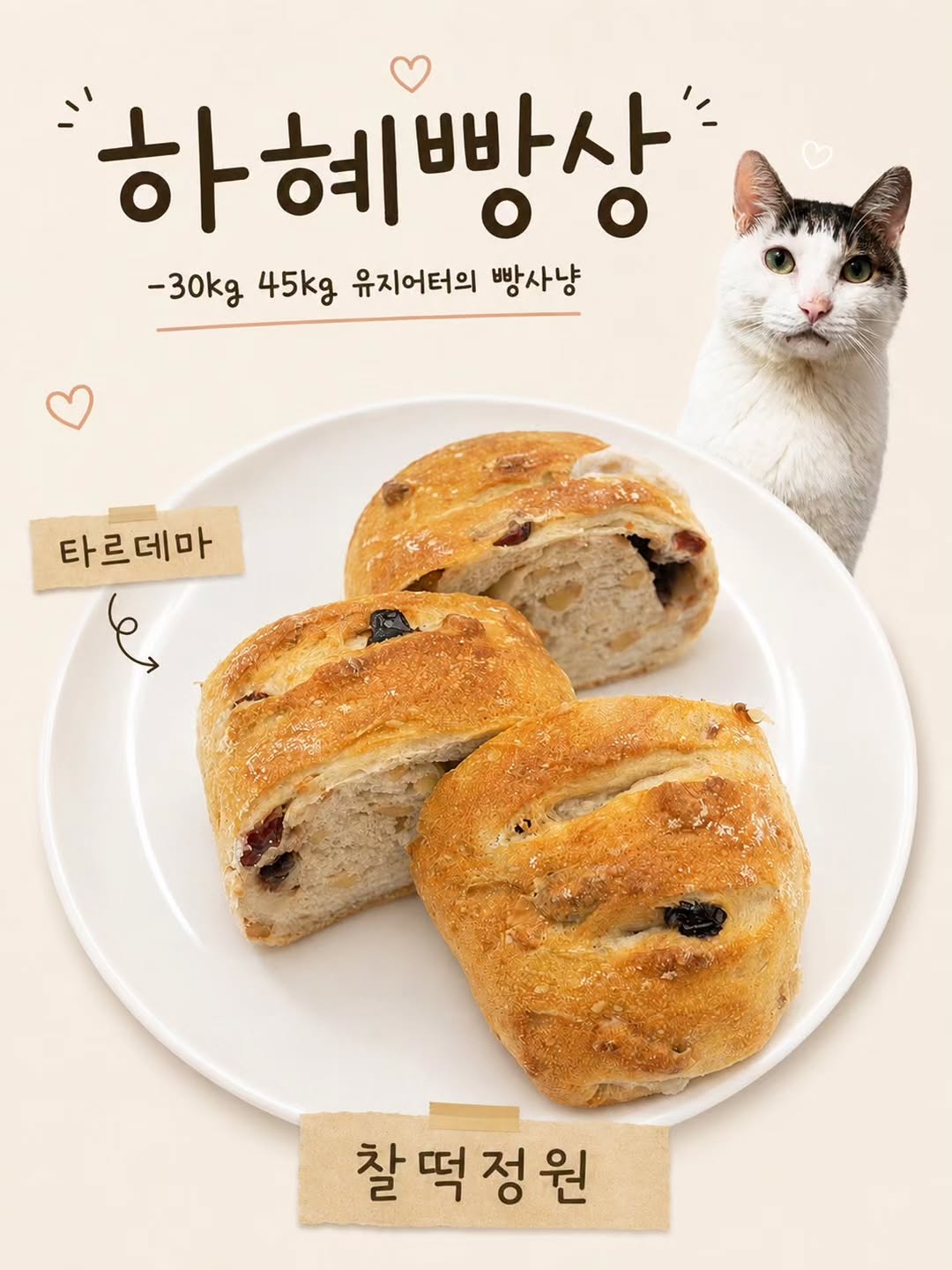 @hahye.hihohu이 올린 타르데마베이커리 태그 게시물