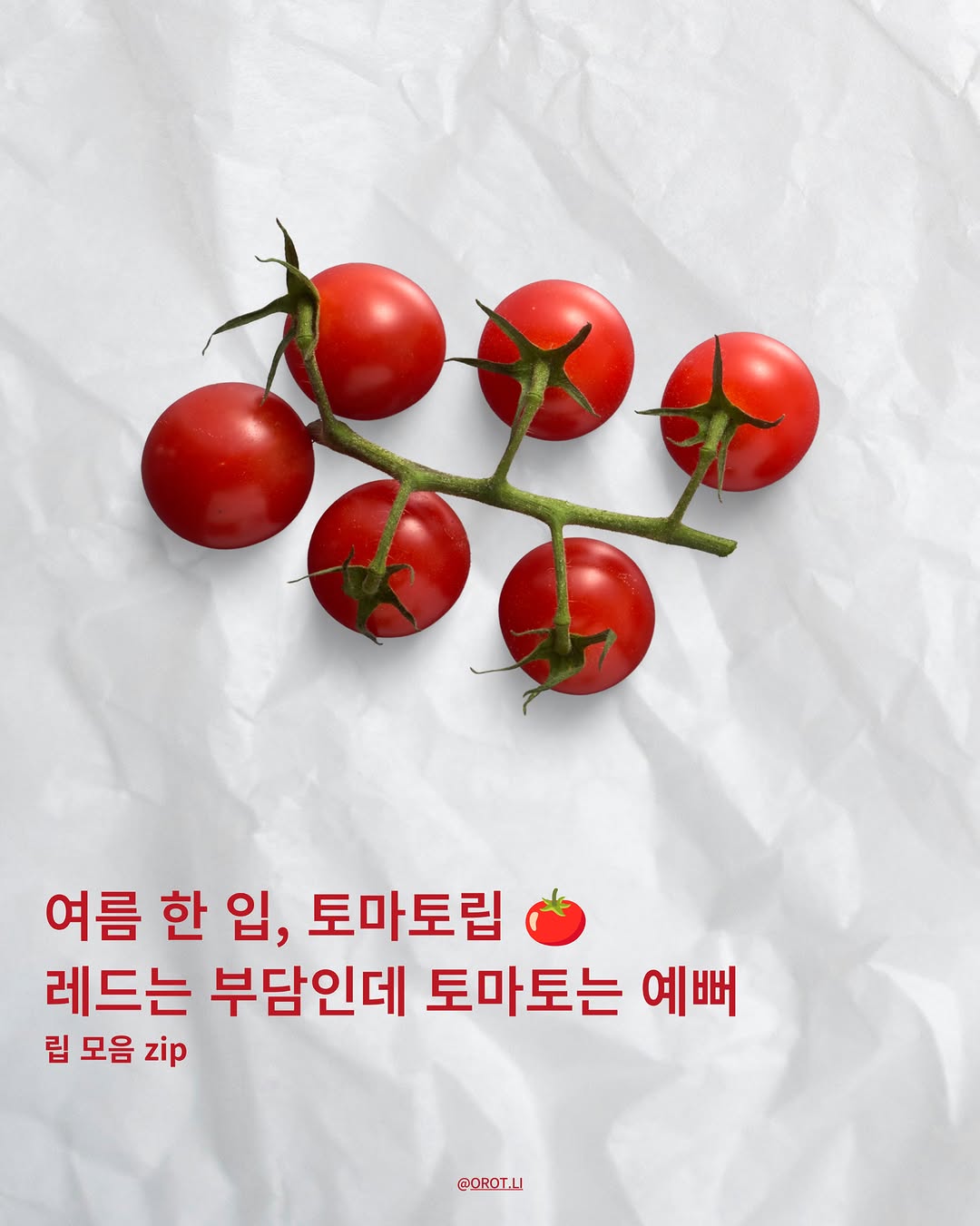 @orot.li이 올린 꽃립 태그 게시물