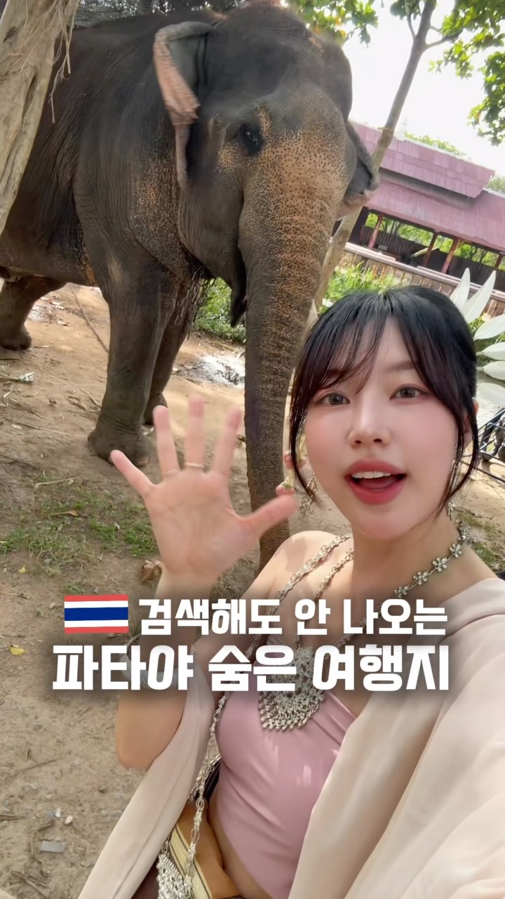 @uuji.eug이 올린 몽키트래블 태그 게시물