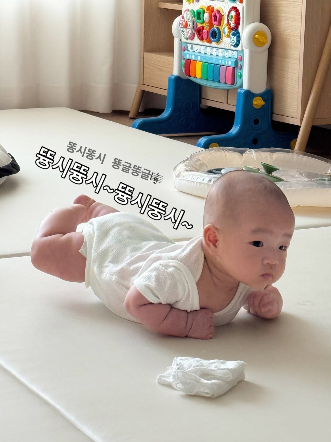 @ankko_ppang이 올린 Hattung® 하뚱 태그 게시물
