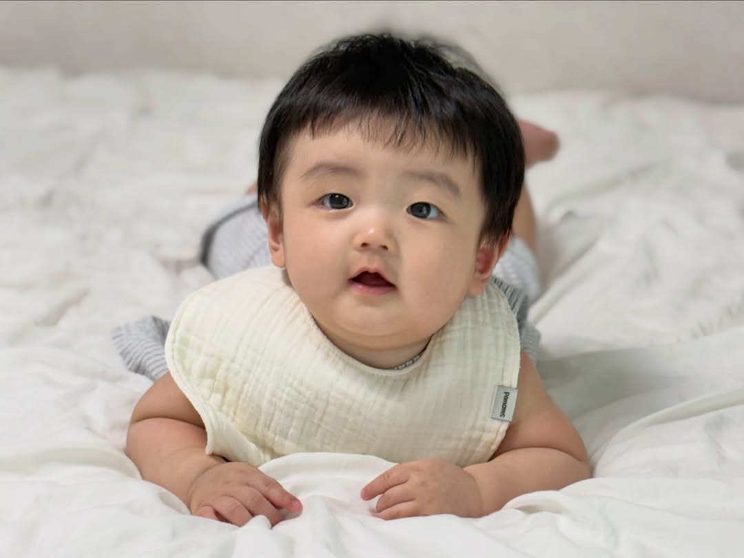 @__d0ngle이 올린 pamoms 태그 게시물