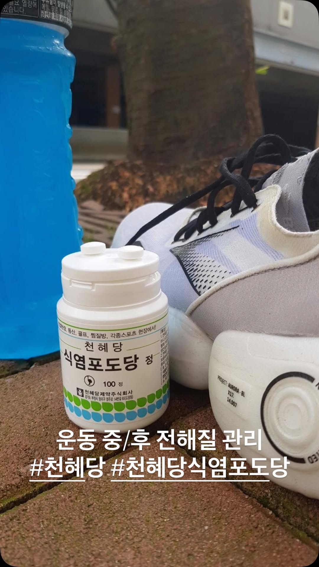 @ganseochi이 올린 천혜당 태그 게시물