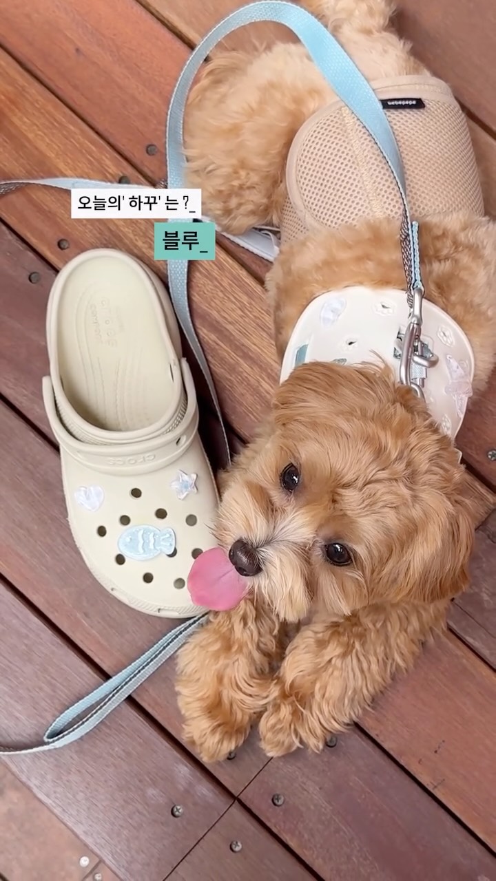 @2deoksu0516이 올린 플룹 | Ploop™ 태그 게시물