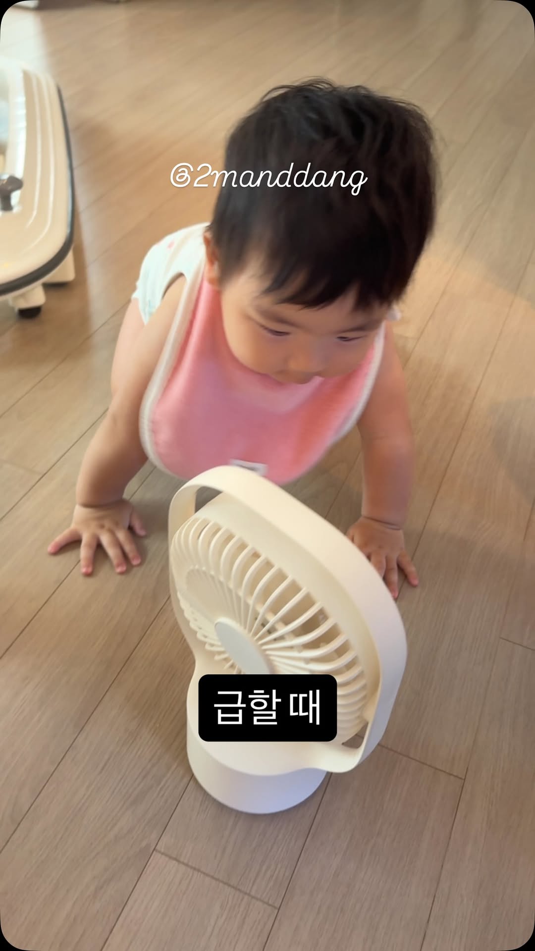 @2manddang이 올린 엔퍼센트 태그 게시물