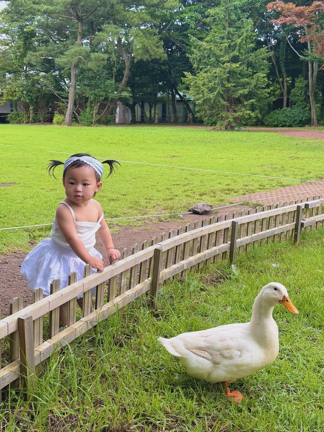 @our.lia.day이 올린 리미떼보니 🎀처음 헤어액세서리 태그 게시물