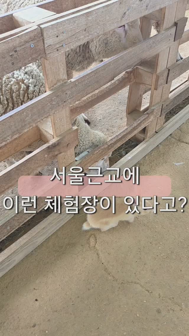 @puuiu2026이 올린 포레스트벨 태그 게시물