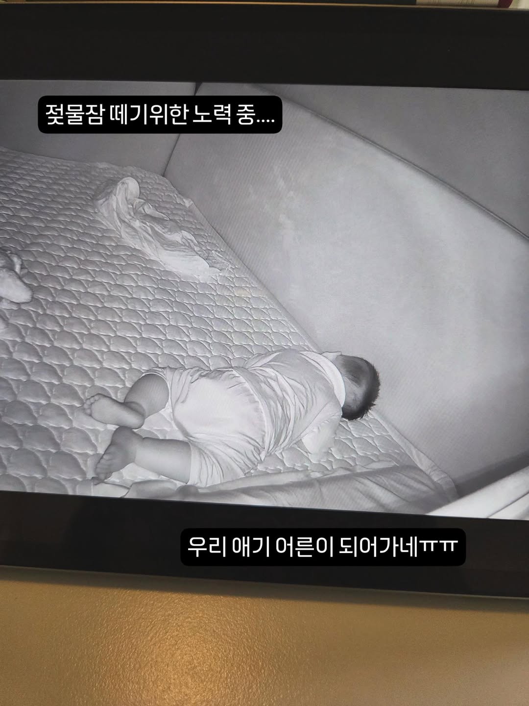 @zioni_table이 올린 클레이샵 태그 게시물