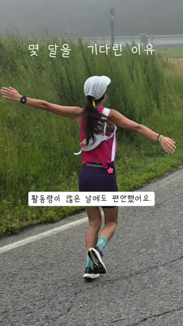 @soyoung.rich이 올린 라노베 태그 게시물
