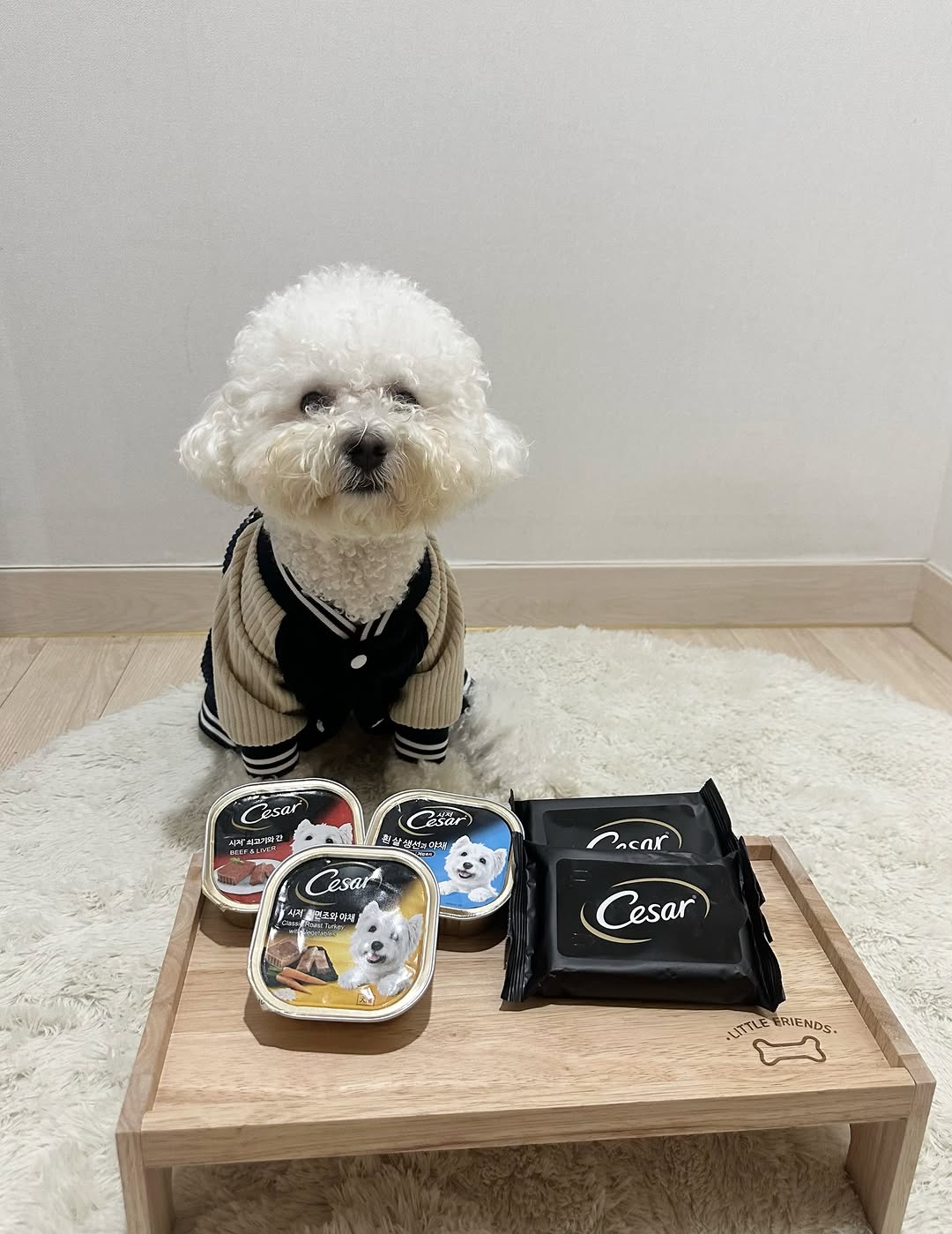@haruu_nuri_seyo이 올린 시저® 태그 게시물