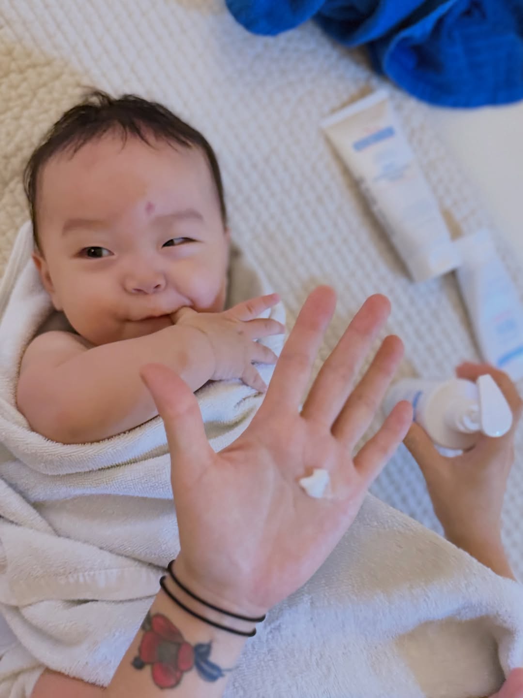 @kinggodfamily이 올린 메르베르 태그 게시물