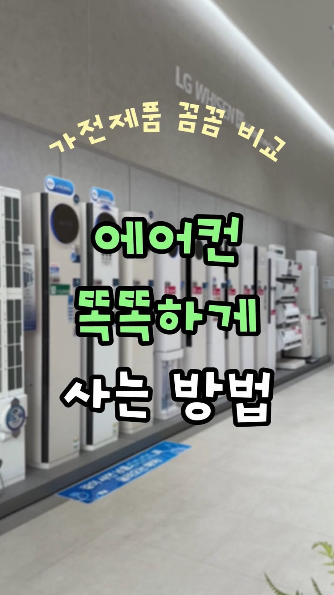 @ddobok.coco이 올린 렌트리 태그 게시물