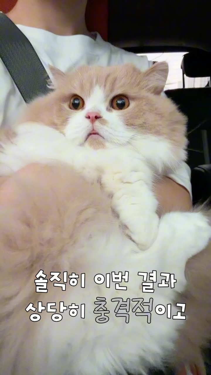 @mmang_9_이 올린 CARESIDE 태그 게시물