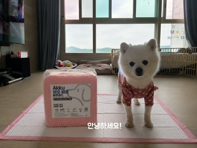 @mingguya2022이 올린 아꾸 태그 게시물