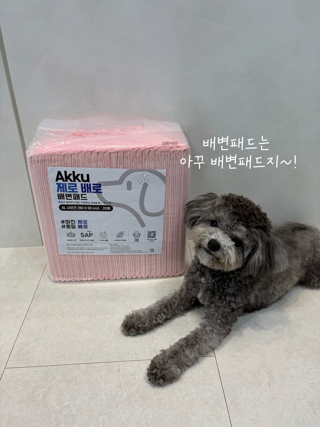 @momo.25.05.22이 올린 아꾸 태그 게시물