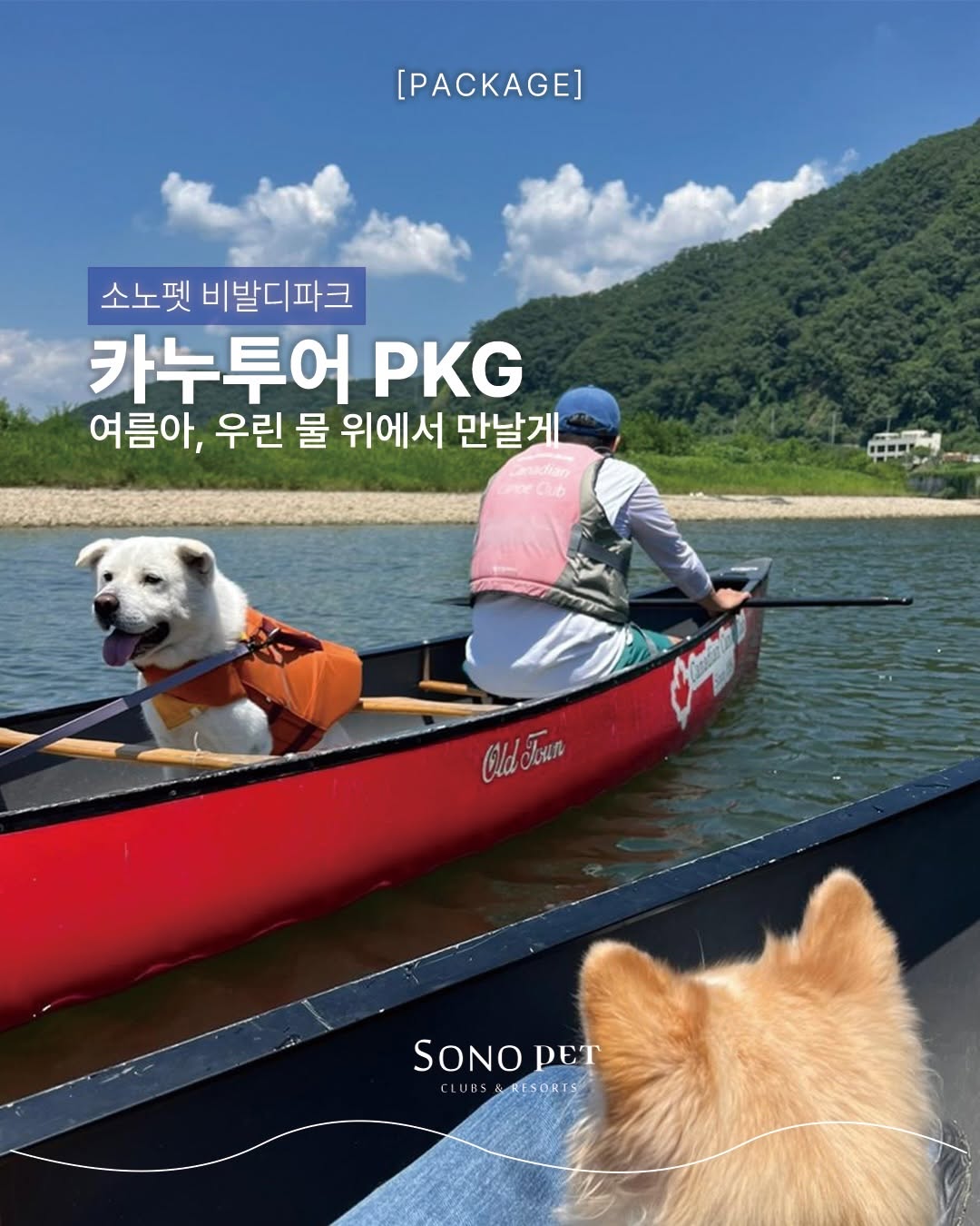 @sonopetclubs_resorts이 올린 HURRAY 허레이 태그 게시물
