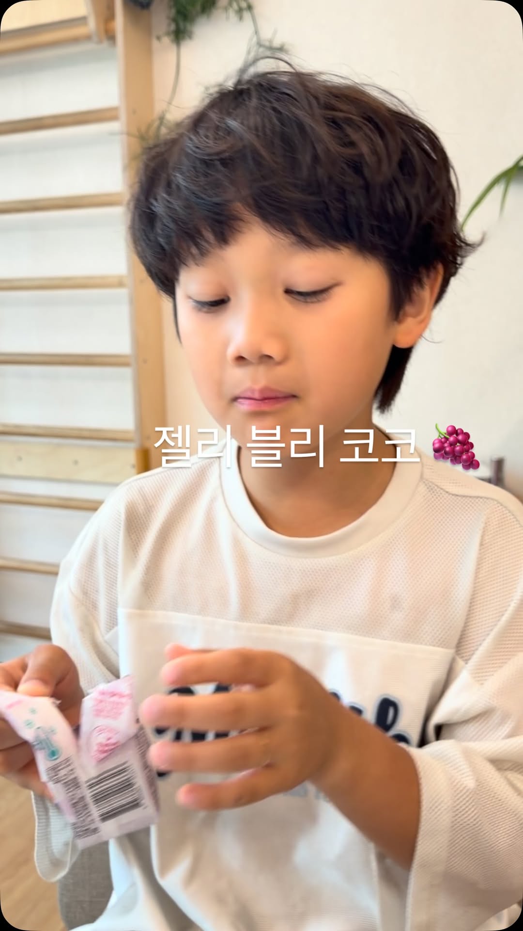 @lj___yul이 올린 젤리블리 젤블이 태그 게시물