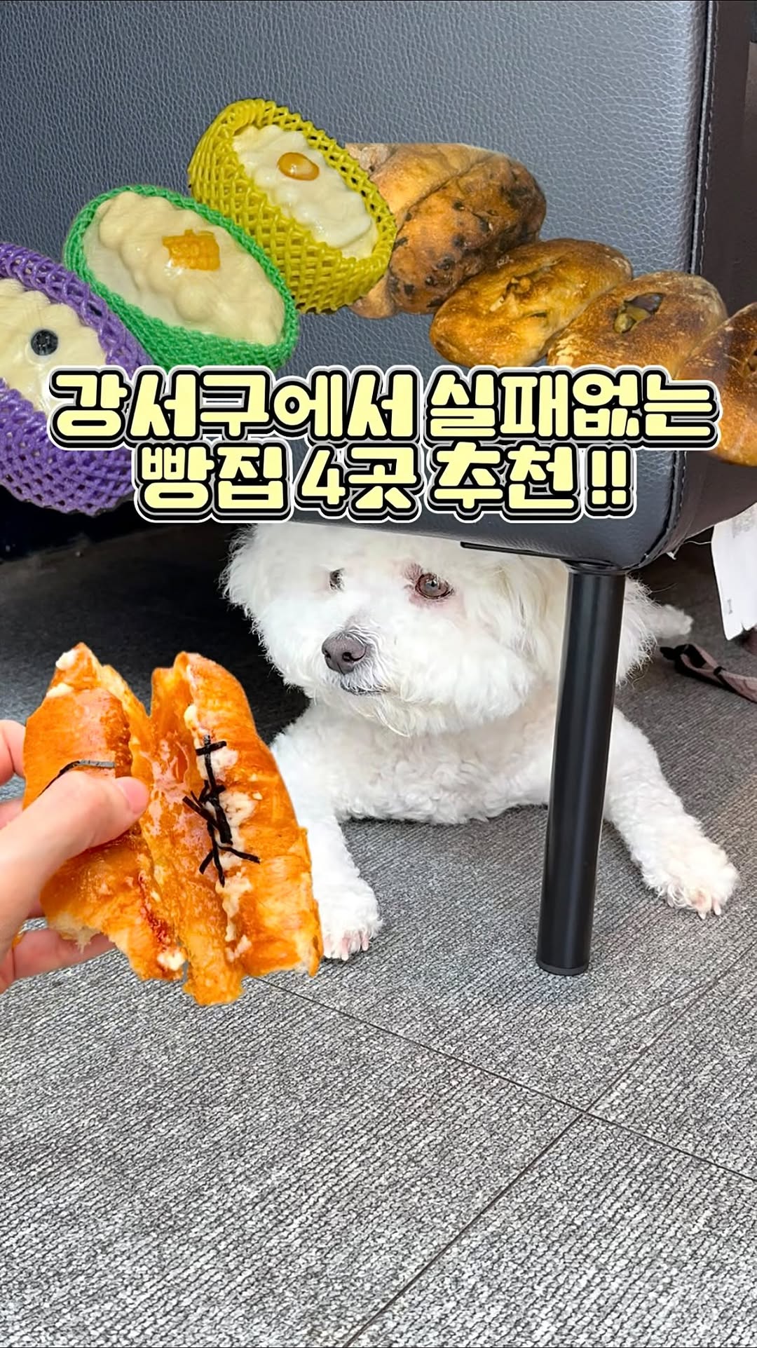 @jiami.zip이 올린 타르데마베이커리 태그 게시물