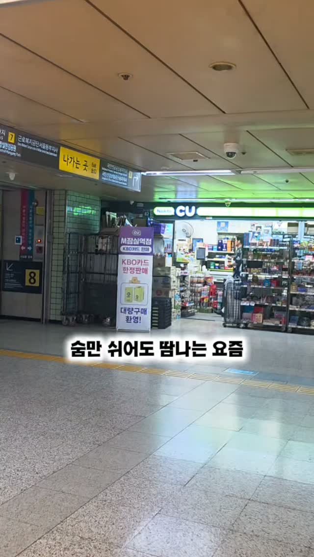 @jj_mom77_이 올린 세븐브로이맥주 태그 게시물