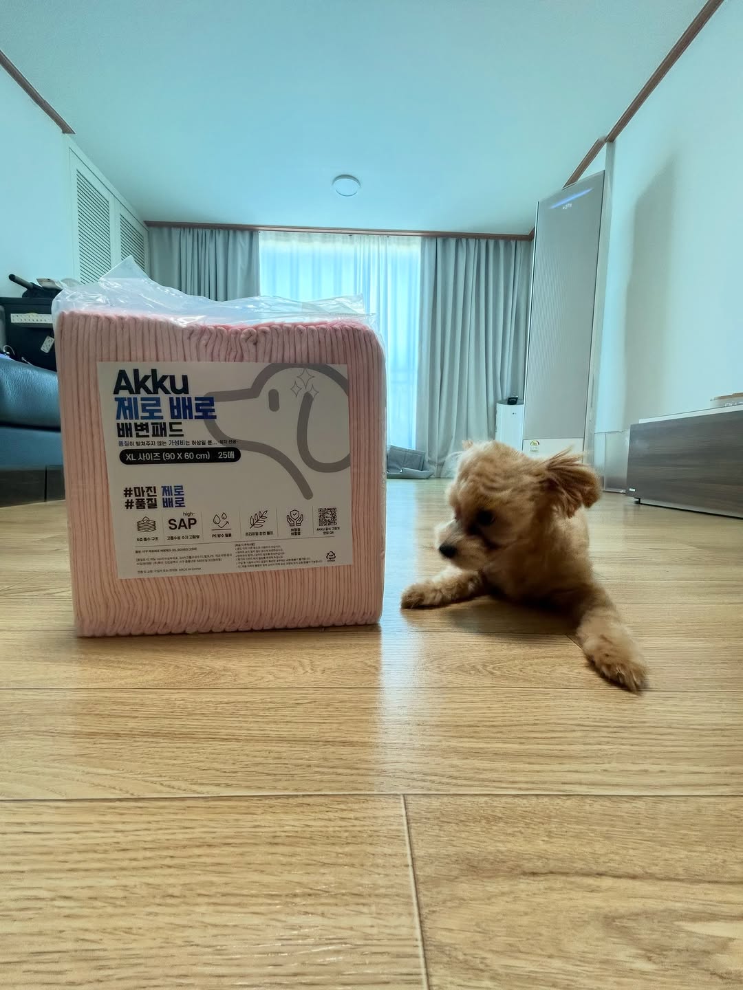 @oat_bori이 올린 아꾸 태그 게시물