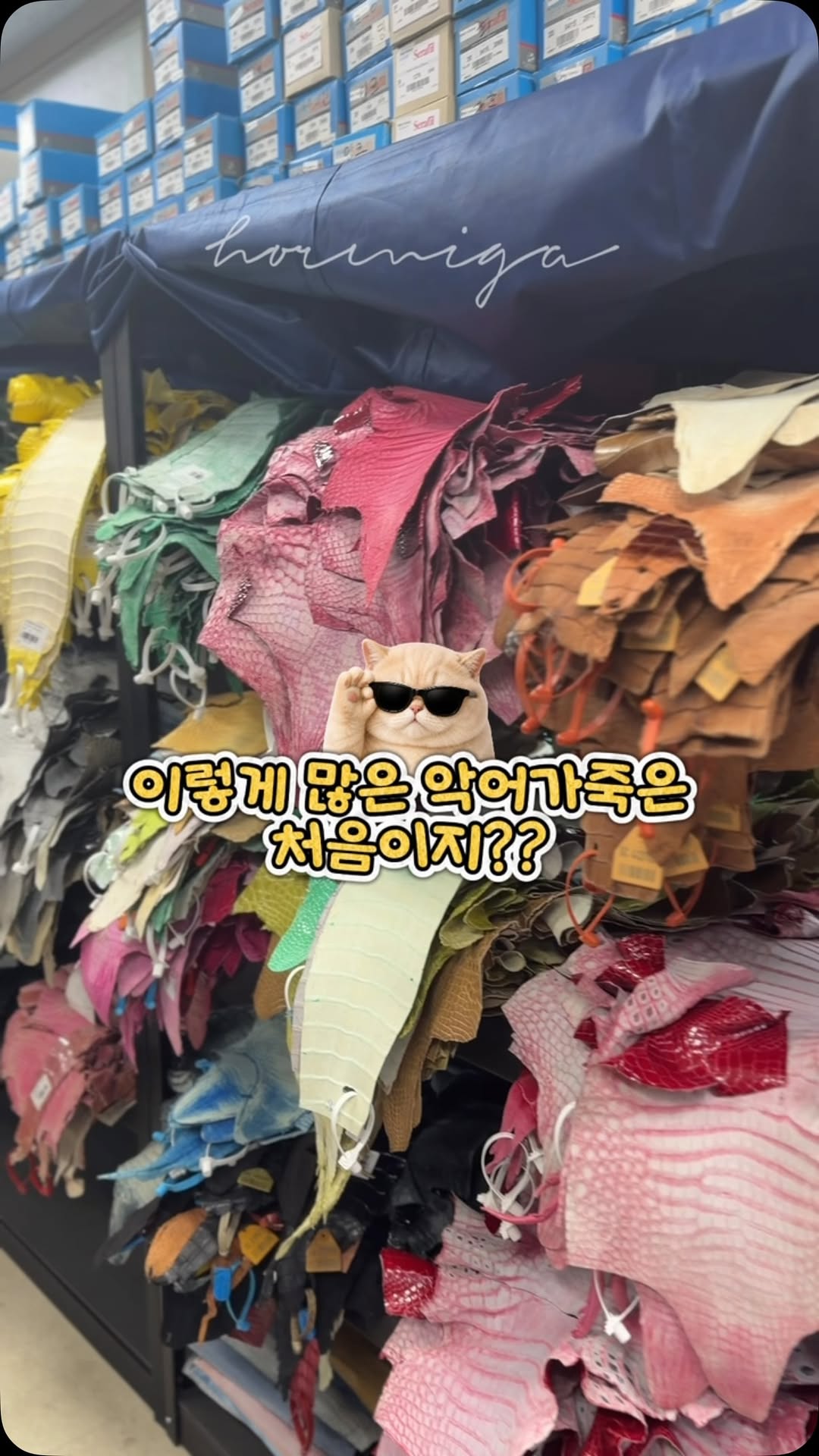 @_gyxxn이 올린 Hormiga 태그 게시물