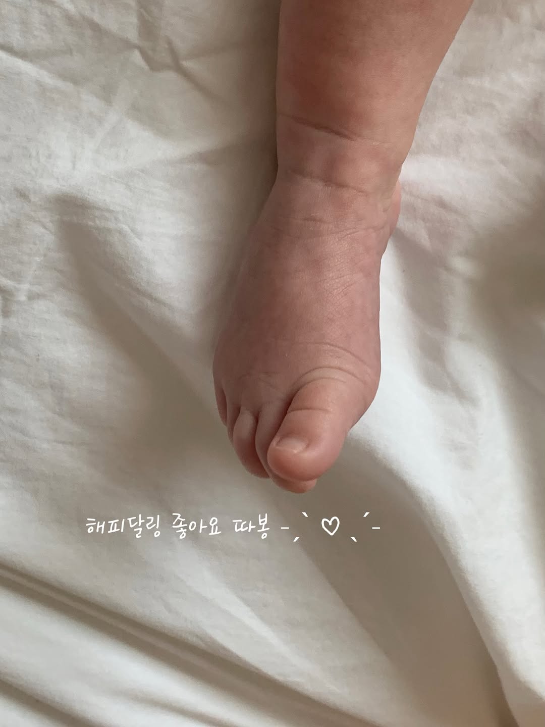 @cochon_zip이 올린 해피달링 태그 게시물