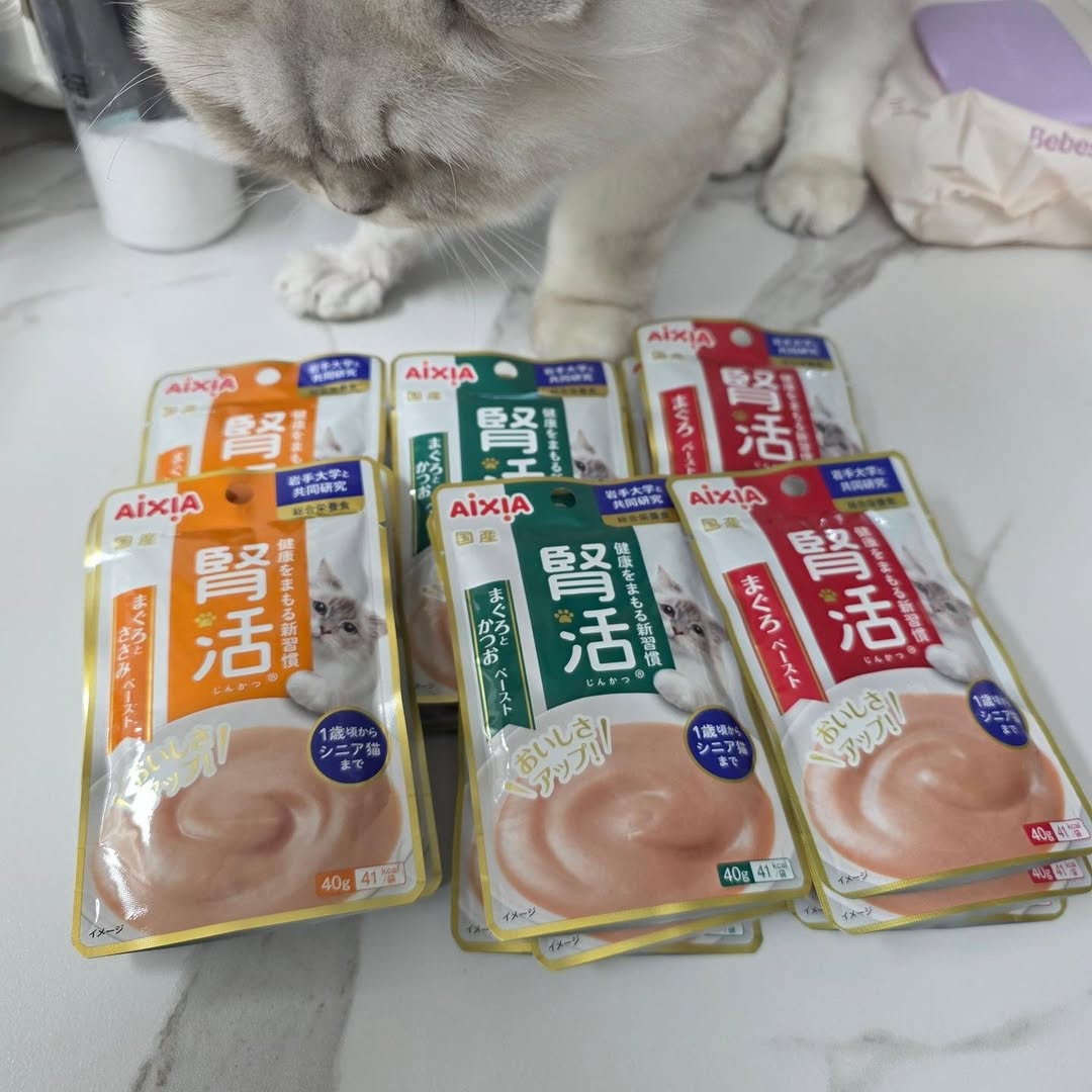 @reol.ouis이 올린 아이시아 코리아 태그 게시물