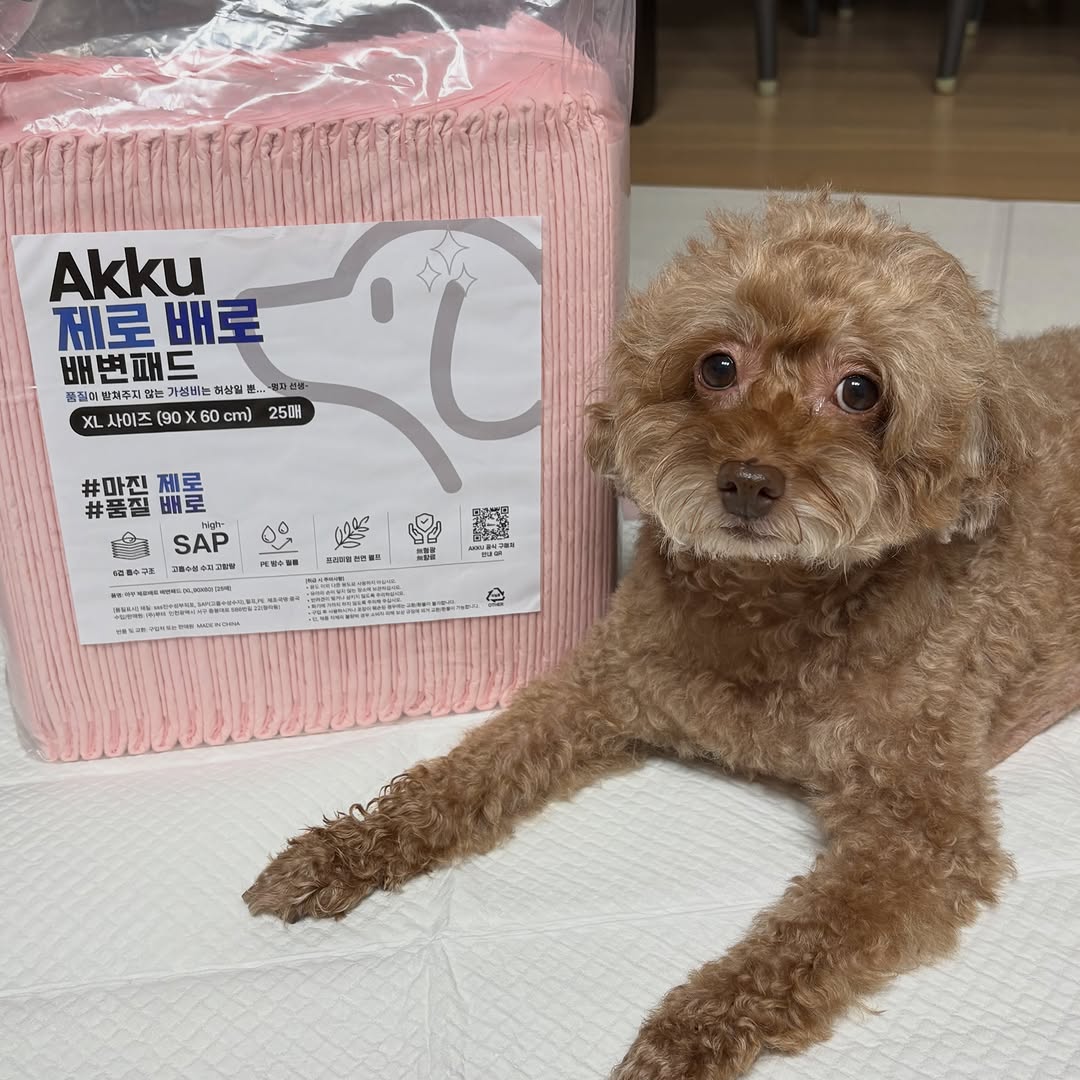 @urmy._.bbu이 올린 아꾸 태그 게시물